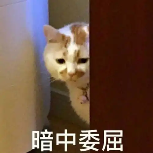  涨知识可怕现在的00后都用什么护肤品