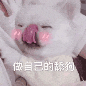 舔狗不得好死表情包gif