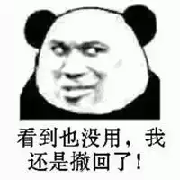 撤回去有什么用表情包