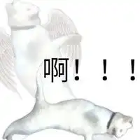  啊猫咪啊啊啊gif动图动态图表情包下载soogif