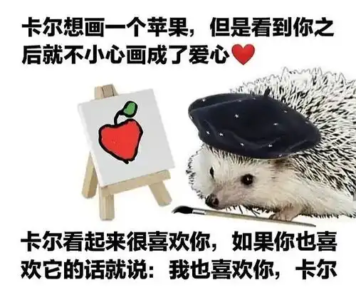  我最要好的朋友竟然已经是只刺猬了
