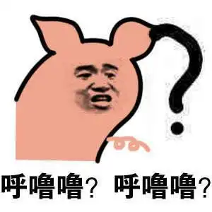  自从接了这个单,我的大学生活走上了一条不归路