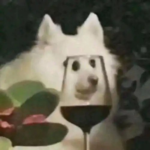  沙雕情头哈哈哈