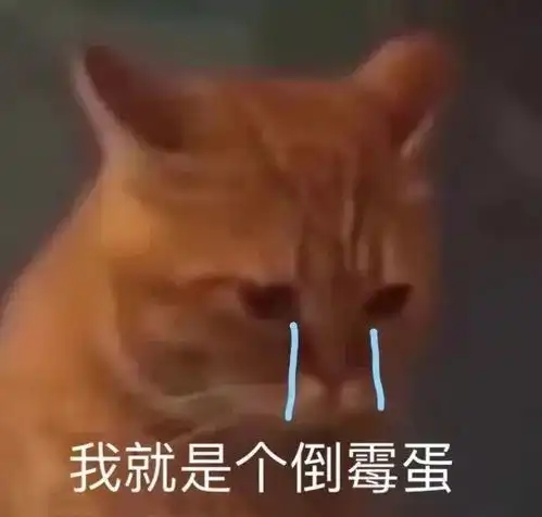 表情包向老公低头