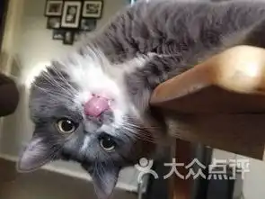  丽水莲都区数码产品丽水莲都区数码产品购物