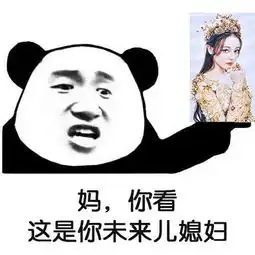 熊猫头表情包妈你看,这是你未来儿媳妇