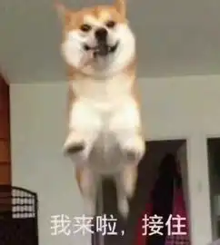  老外惊叹,每对情侣都应该来这里,深刻学习洞房鼻祖的坚贞爱情