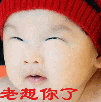  不用打字就可以聊天的动态表情图片