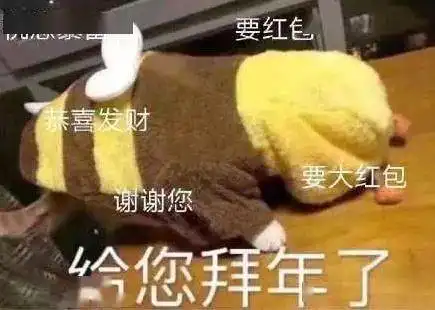  今天,你收到压岁钱了吗