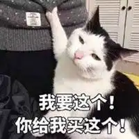 我要买这个表情包表情包