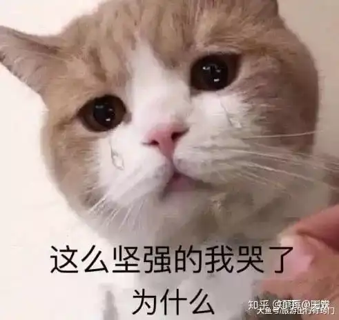  有没有什么比较卑微的表情包或者那种可以表达自己内心绝望和看破一切得表情包急