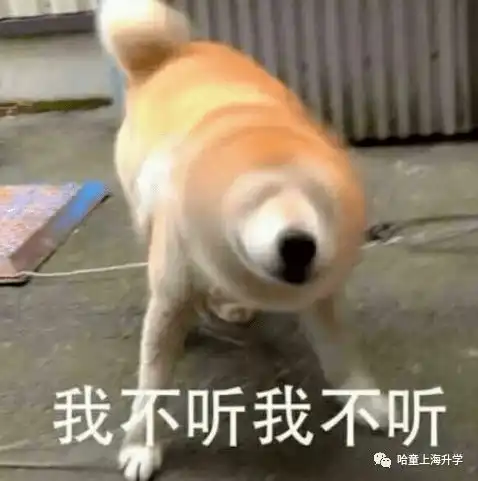 违章表情包我不听