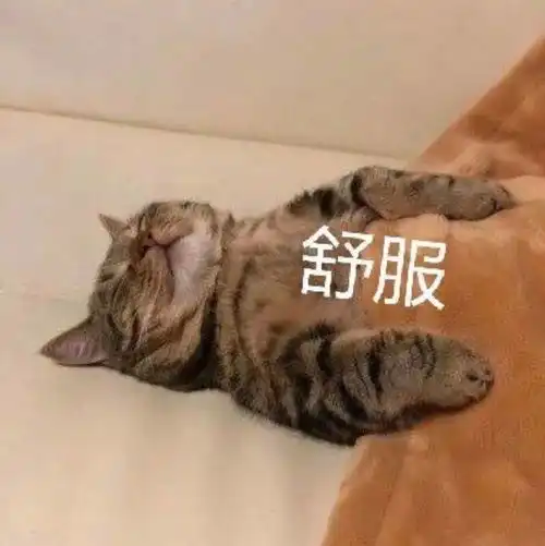  热门沙雕表情包