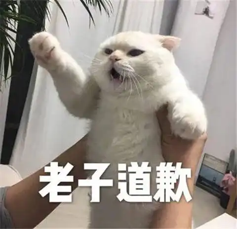 帅的表情包图片道歉