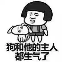 表情包可爱萌卡通动漫gif纯文字污金馆长堆糖,美好生活研究所
