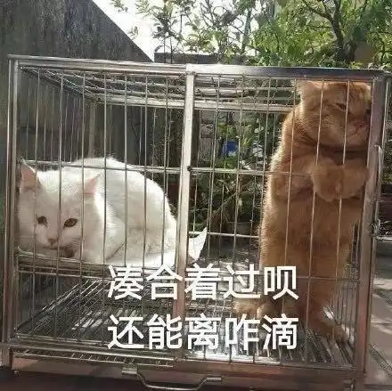  知网一年靠论文收费赚十多亿但论文作者分到了几毛