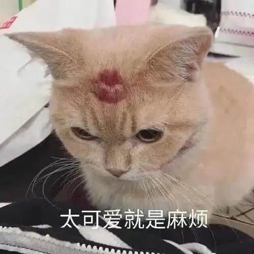  憨憨表情包爷i了