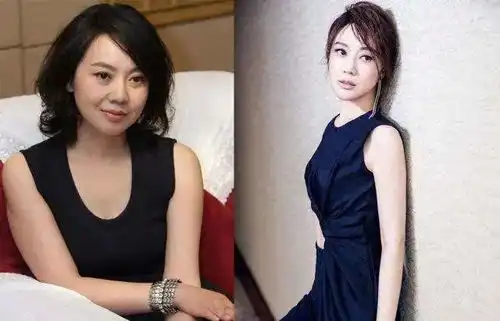  击败孙俪获得白玉兰视后,闫妮被赞实至名归,凭什么