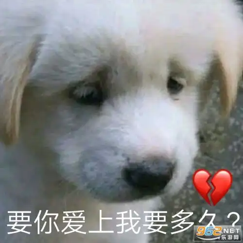  你的良心出了点问题表情包要你爱上我要多久表情包下载乐游网游戏下载