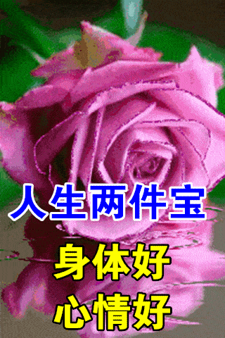  12月26日最漂亮动态表情图片大全