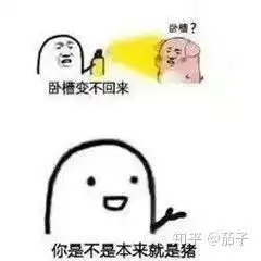  想要那种一系列的表情包