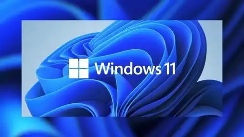  微软win11表情包不会给win10