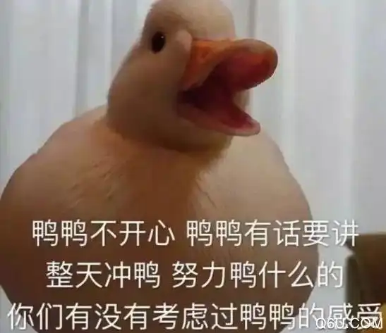  这部电影的女主角叫游泳池