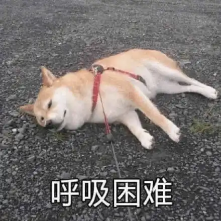  看完支付宝年度账单,只想问一句我钱哪去了