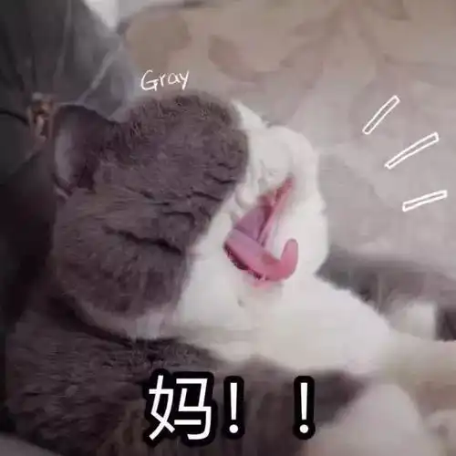  在校的学生们零用钱不够花,那就跟爸妈要吧,嘿嘿