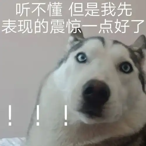 学雅思气氛组行为大赏