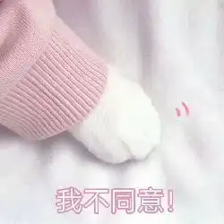  猫爪表情包,萌猫出击