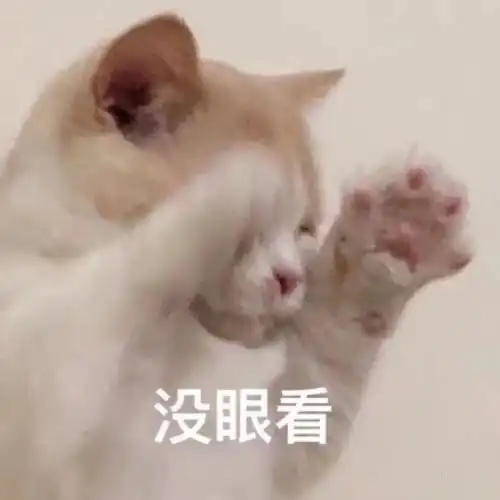  一群猫咪围在下水道旁,其他喵我们不笑你,就瞅瞅,真的不笑