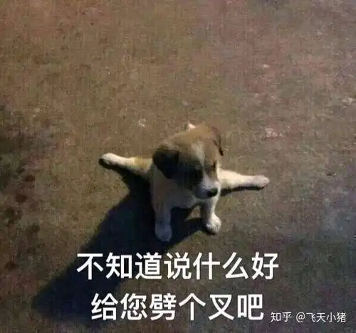 百度贴吧表情包微信图图