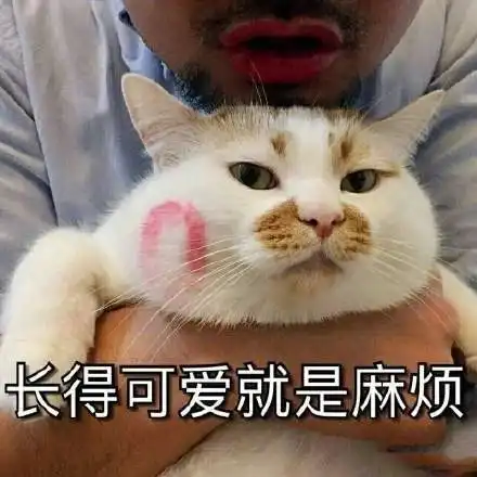 萌系表情包搞笑哥哥