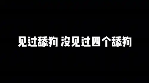  见过舔狗,没见过四个舔狗
