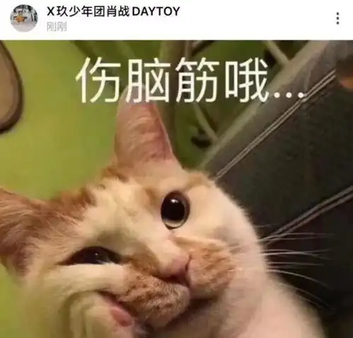 表情包你配吗肖战第