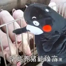  某些sb自媒体账号,别再接金融诈骗广告害人了行吗