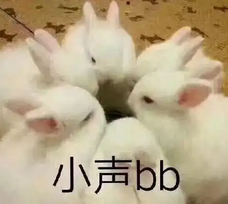  上海上半年投诉最多的公交名单出炉快看松江有么有