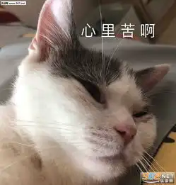  你看我缺你吗图片满脸都写着想皮表情包下载乐游网游戏下载
