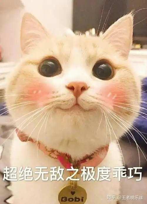  萌到吐血的表情包