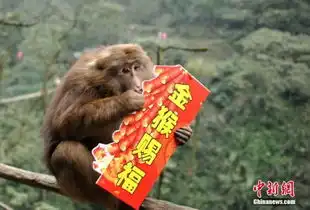  群猴闹春送新年祝福