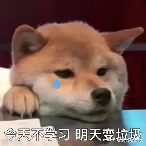  山东专升本自荐考生,感觉有点迷茫,该如何复习