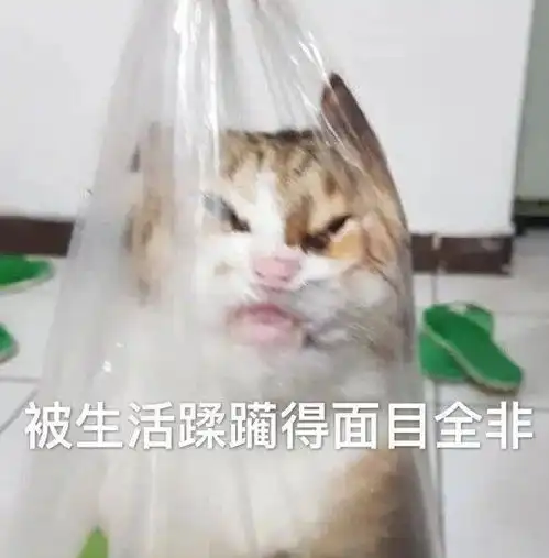 wink表情包动图起电