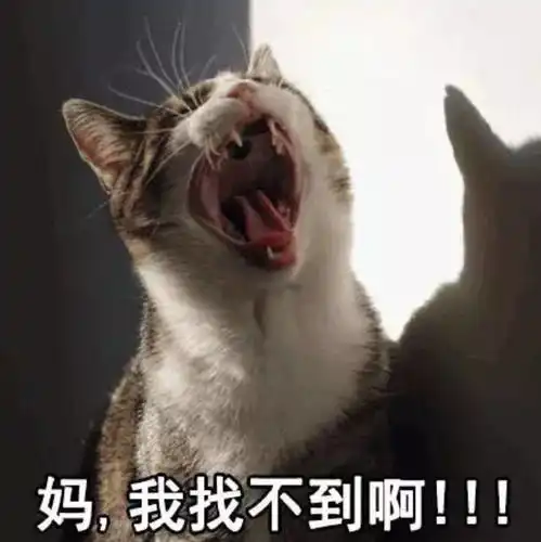  妈妈妈妈妈妈妈妈妈妈妈妈妈妈