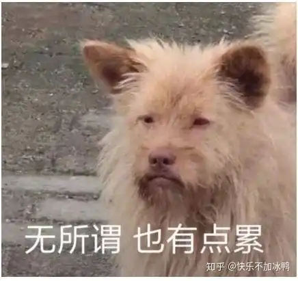 如何接受自己的普通,并当一个快乐的普通人