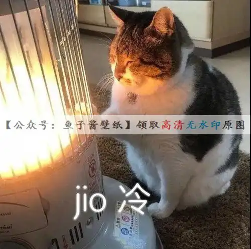  降温表情包天气变冷表情包脚冷表情包抖音热门