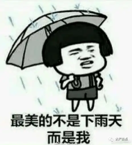  冷雨雪再启动广东广西福建浙江上海或连下3天冻雨