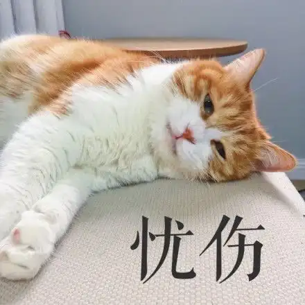  丧猫表情包高清无水印版