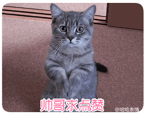  求点赞表情包你不会不点赞就走吧