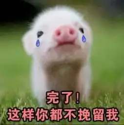  朋友失眠了,用这个表情包怼他,建议他少做白日梦